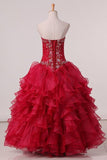 2024 Organza Sweetheart Ball Gown Quinceanera Dresses PFCJ2TDX