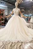 2024 Luxury Wedding Dresses V-Neck Ball Gown PB3BYP35