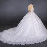 Princess Ball Gown Sheer Neck White Wedding Dresses Lace Appliqued Bridal Dresses STG15293