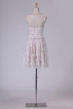 2024 New Arrival Scoop A Line Homecoming Dresses Tulle Short/Mini #6112 (Color Just As Picture PLS4KA31
