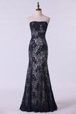 2024 Mother Of The Bride Dresses Strapless Mermaid Floor Length PSD5GMMP