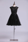 2024 Scoop Prom Dress A Line Tulle Skirt Embellished Bodice With Beads & Applique Cap PCRX6FLA