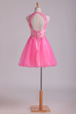 2024 Lovely Homecoming Dresses Scoop A Line Short Tulle With PL75L5AP