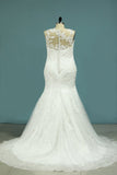 2024 Mermaid Wedding Dresses Tulle Scoop With Applique PYZT6TZN