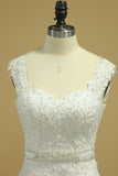 2024 New Arrival Straps Tulle Column Wedding Dresses With PGDTS24B