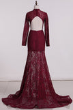 2024 High Neck Prom Dresses Long Sleeves Mermaid Lace PFFRP6K1