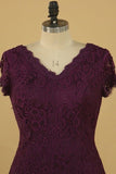 2024 New Arrival V Neck Short Sleeves Mermaid Lace Mother Of The Bride P3YKRECS