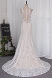 2024 New Arrival Wedding Dresses Mermaid Scoop Lace With Applique PED258AN